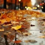 وضعیت هوای تهران فردا دوشنبه ۱۰ شهریور ۱۴۰۴ 