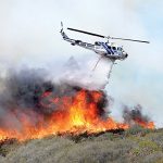 «الیت» در آتش؛ فناوری چطور می‌تواند جنگل‌ها را از حریق نجات دهد؟