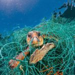 رهبر انقلاب در جنگ ۱۲روزه هویت ایرانی و اسلامی را کنار هم قرار دادند