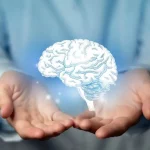 راز جوانی مغز، عضلات قوی‌تر، چربی کمتر