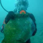 پمپئی جاده ابریشم: تمدن گمشده قرون وسطایی از زیر آب‌های قرقیزستان بیرون آمد