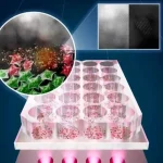 درمان سرطان با نور LED بدون تخریب سلول‌های سالم