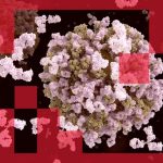 اولین داروی طراحی‌شده با هوش مصنوعی چه خواهد بود؟