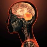 برای نخستین‌بار یک ژن واحد به‌تنهایی عامل بیماری روانی شناخته شد