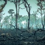 ریه‌های زمین در آستانه فروپاشی؛ جنگل آمازون به‌زودی گرفتار اقلیم فوق‌استوایی می‌شود