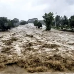 کیش غرق شد!/ فیلم