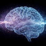 شناسایی عملکردهای پنهان سیستم عصبی به کمک هوش مصنوعی