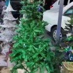 تصاویری از حال و هوای کریسمس در تهران