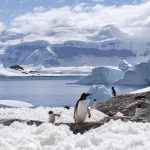چرا جنوبگان مکانی بیابانی محسوب می‌شود؟